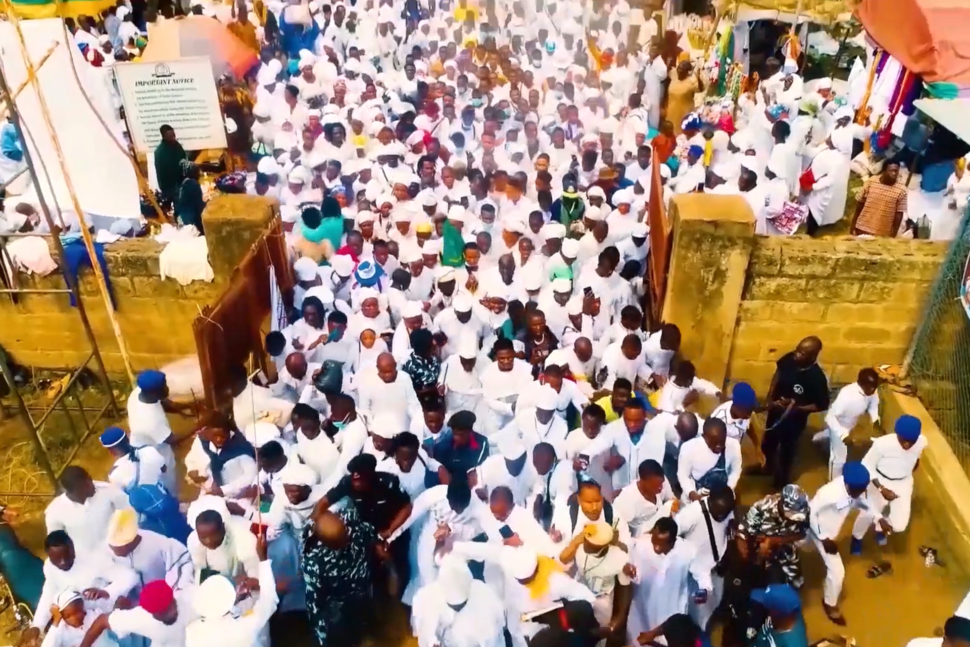 Multitude-C and S Crowd